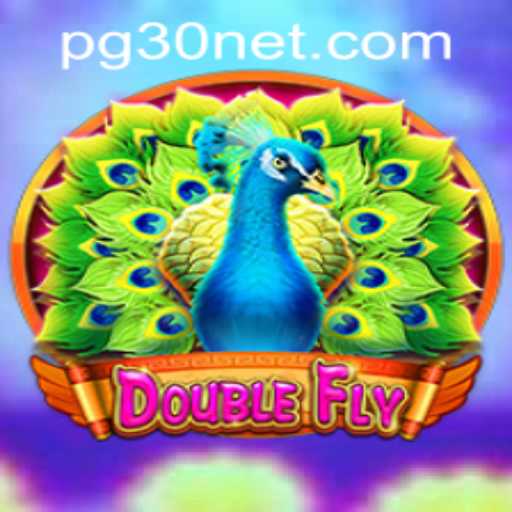 DoubleFly: Mastering the Skies with PG30 PH Login - A Comprehensive Guide