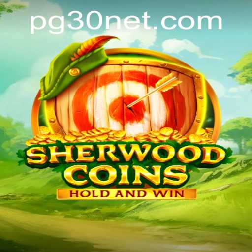 Exploring SherwoodCoins: The Adventurous Gaming Experience